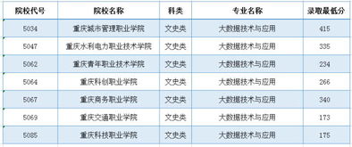 襄职电子商务专业多少分