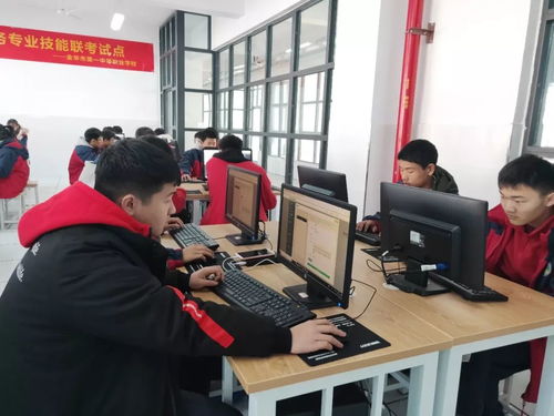 电子商务专业考税务局