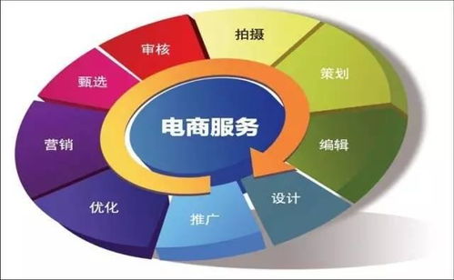 电子商务专业春考最高分