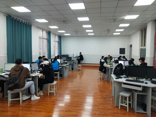 四川电子商务专业培训