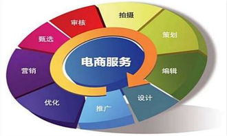单招电子商务专业模拟题